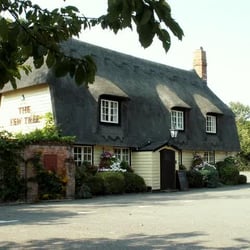 The Yew Tree