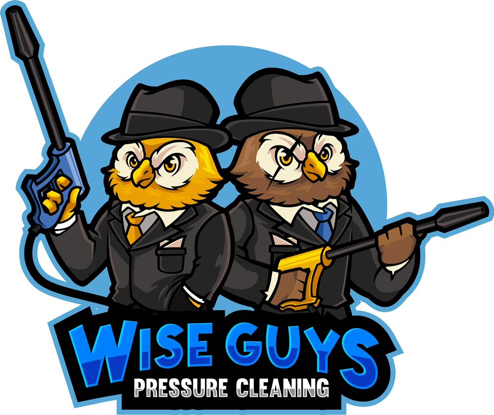 Slide of Wise Guys Pressure Cleaning