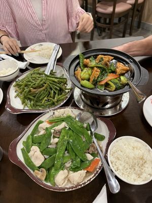 Asian Chili Spot by null