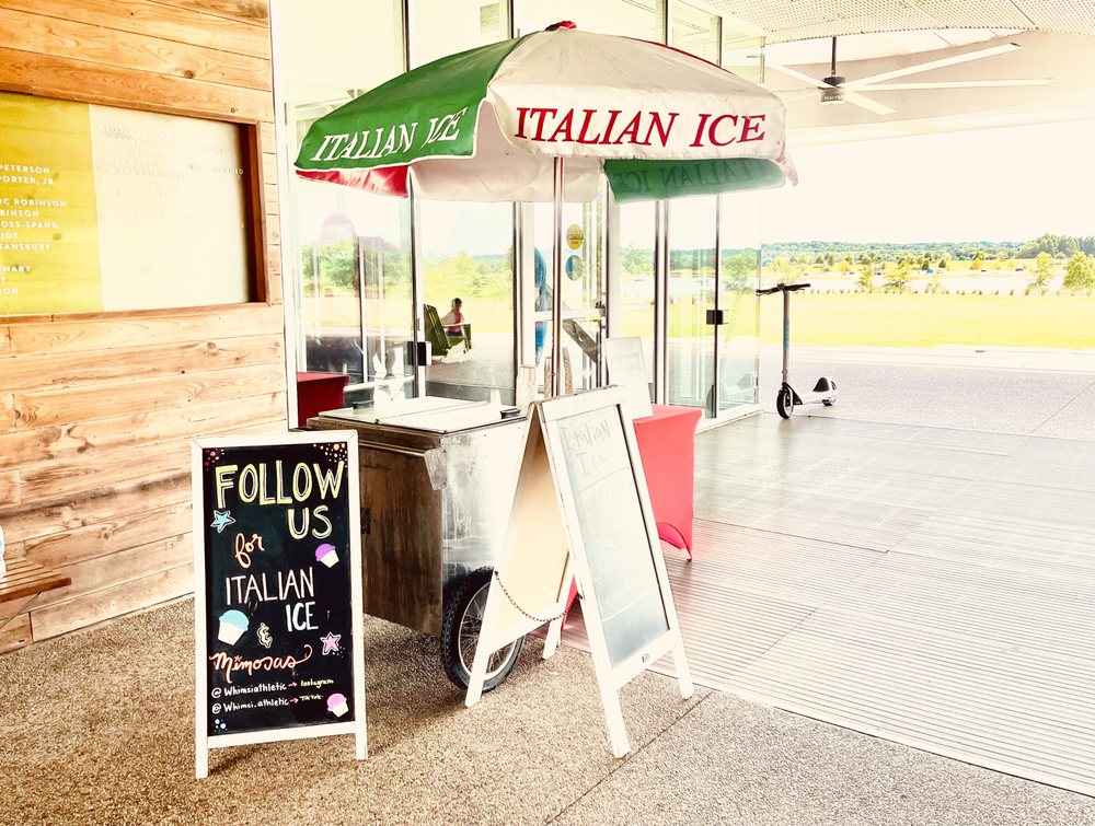 Family Italian ice Logo