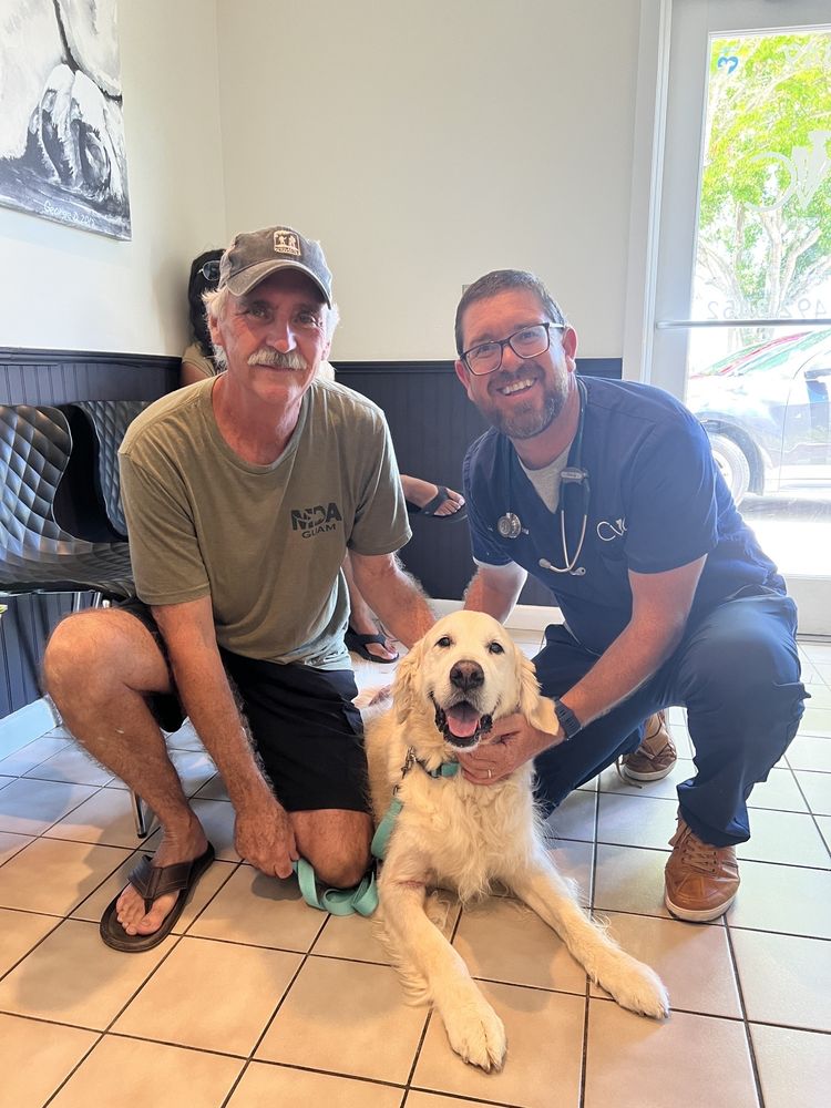Community Veterinary Clinic Image