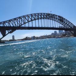 Taronga Zoo Ferries