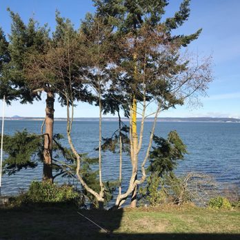 The Artisan Arborist - Tree Services Near Me - Oak Harbor, Washington The Artisan Arborist - Tree Services Near Me - Oak Harbor, Washington