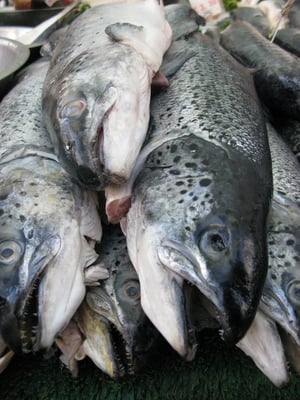 Billingsgate Market by null