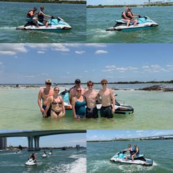 Dolphin Island excursion