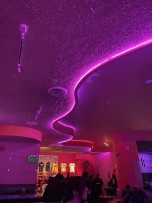 Xanadu Roller Arts by null