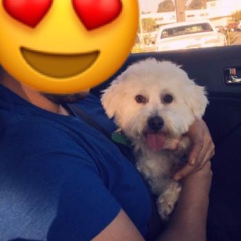 Modern Pooch - Pet Groomers Near Me - South El Monte, California Modern Pooch - Pet Groomers Near Me - South El Monte, California