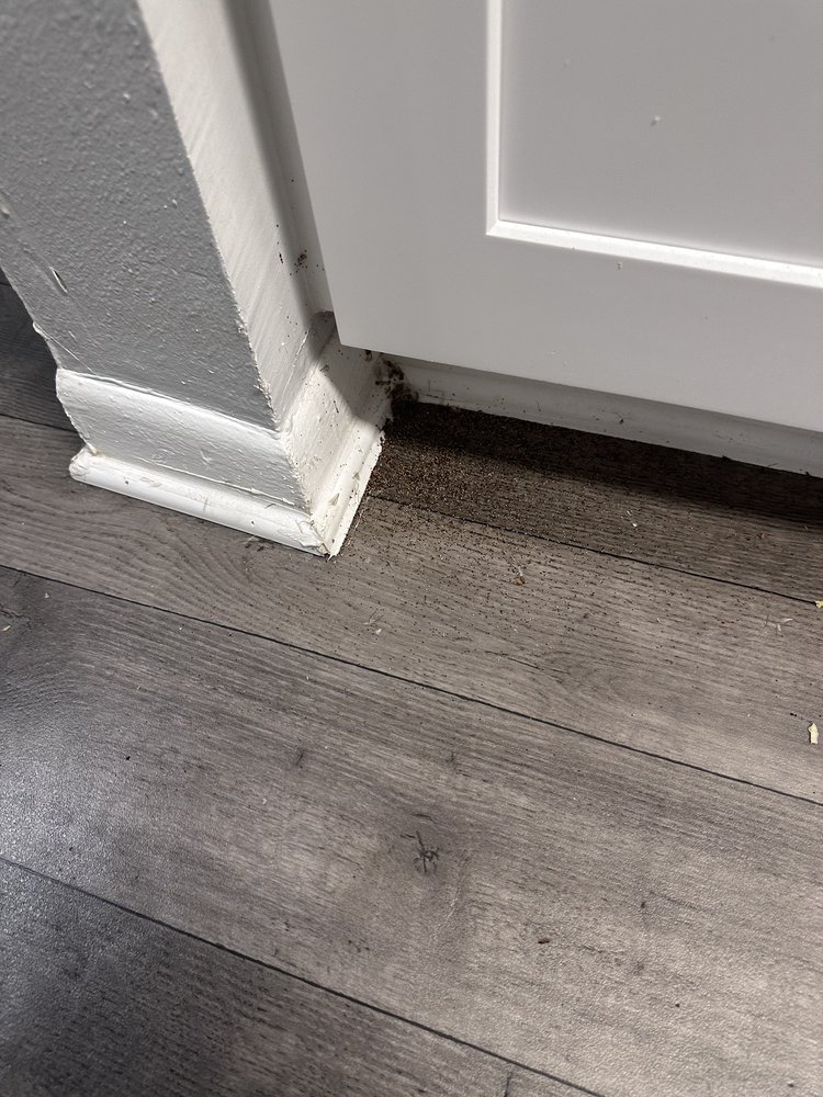 OSPREY POINTE Updated September 2024 48 Photos & 18 Reviews 1900