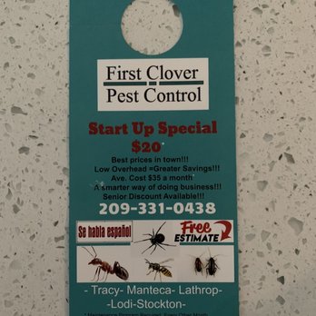 First Clover Pest Control - Eduardo from First Clover Pest Control was amazing! Thanks Eduardo - Pest Control Near Me - Stockton, California First Clover Pest Control - Eduardo from First Clover Pest Control was amazing! Thanks Eduardo - Pest Control Near Me - Stockton, California