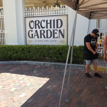 United We Brunch - Festivals Near Me - Orlando, Florida United We Brunch - Festivals Near Me - Orlando, Florida
