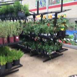Tractor Supply