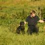 Camp Canine Training