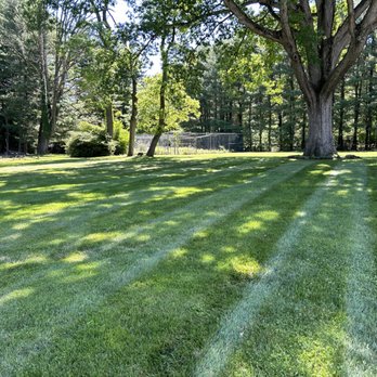 Clover Lawn and Garden - Lawn Services Near Me Clover Lawn and Garden - Lawn Services Near Me