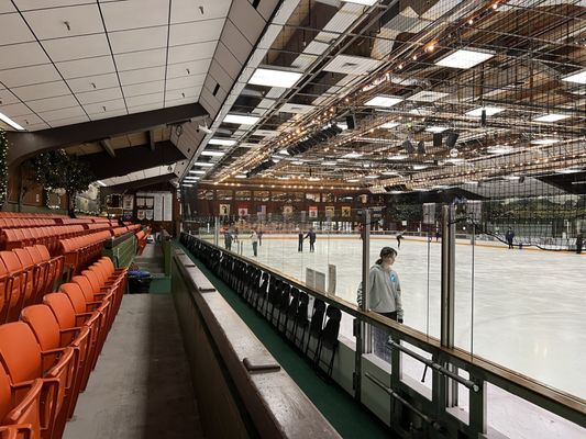 Snoopy's Home Ice by null