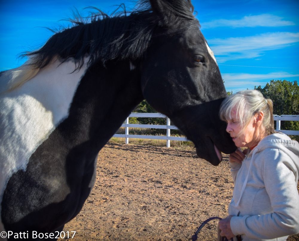 Rancho Mariposa - equestrian in Lamy, NM