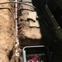 Photo of EcoWorks Irrigation
