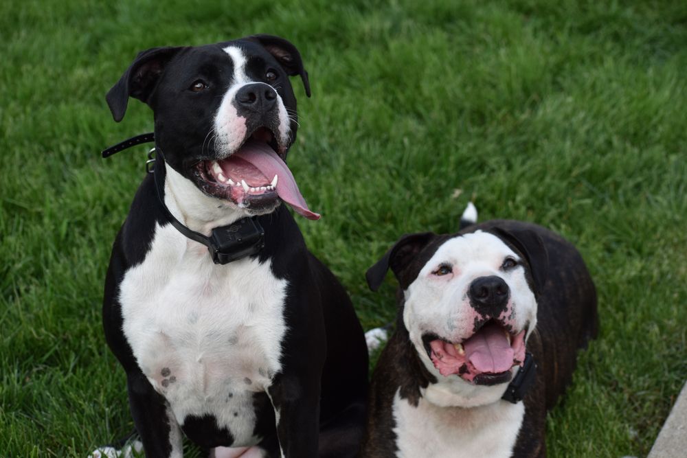 Slide of Hinzman Enterprises