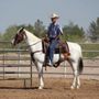 Photo of Hangin Saddle Ranch