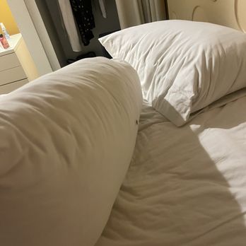 The Coconut Waikiki Hotel - Cockroach on my pillow - Hotels Near Me - Honolulu, Hawaii The Coconut Waikiki Hotel - Cockroach on my pillow - Hotels Near Me - Honolulu, Hawaii