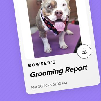 Vanity Fur Menifee - Service came with a photo of my fur baby looking so happy after - Pet Groomers Near Me