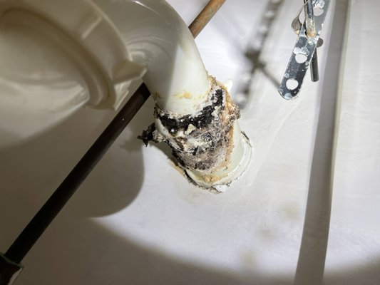 Achenbach Services Logo