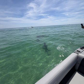 Blake Thomas - State Farm Insurance Agent - Nothing beats a day out on the water with views like these. - Home & Rental Insurance Near Me - Gulf Breeze, Florida Blake Thomas - State Farm Insurance Agent - Nothing beats a day out on the water with views like these. - Home & Rental Insurance Near Me - Gulf Breeze, Florida