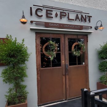 The Ice Plant - Cocktail Bars Near Me - St. Augustine, Florida