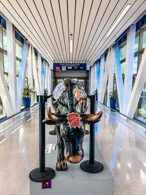San Antonio International Airport by null
