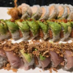 Albacore Albacore