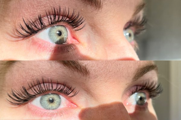Professional Eyelash Extensions - The photos listed above provides recent samples of a variety of different types of lash extensions that are currently being offered through our salon. Professional Eyelash Extensions - The photos listed above provides recent samples of a variety of different types of lash extensions that are currently being offered through our salon.
