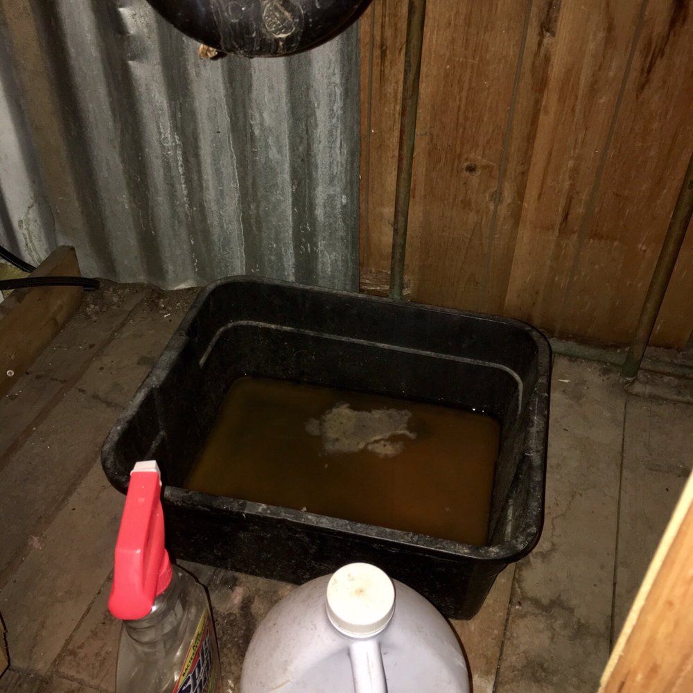 Cabins4less - Moldy disgusting smelly water under the kitchen sink - Rafting/Kayaking Near Me - Big Bear Lake, California