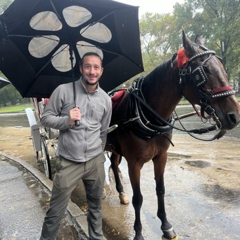 Central Park Carriage Tours - Our fantastic driver and horse - Tours Near Me - New York, New York Central Park Carriage Tours - Our fantastic driver and horse - Tours Near Me - New York, New York