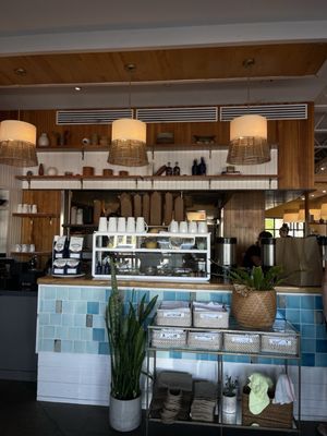 Picnik Burnet Road by null