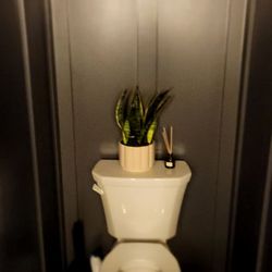 Roast & Toast - Even the bathroom is laid back and comfortable.