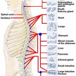 Putnam County Chiropractic