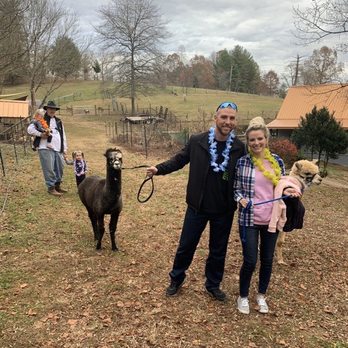Shaka Alpaca Farm - Petting Zoos Near Me - Murphy, North Carolina