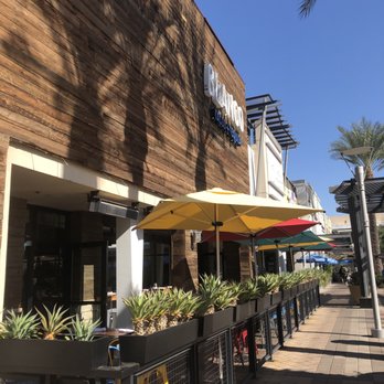 Blanco Cocina + Cantina - Tacos Near Me - Phoenix, Arizona