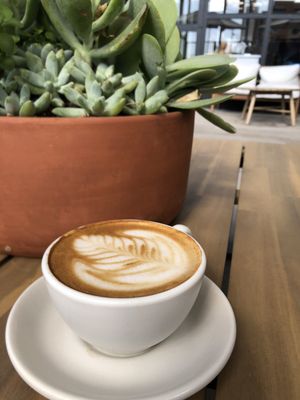 Oralia Coffee & Kitchen *** OPEN DAILY, Coffee 7-4, Kitchen 8-3 *** by null