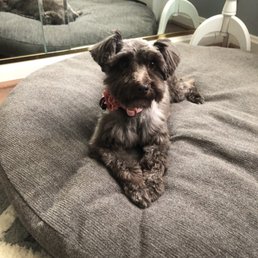 Such a good job! Such a good job!
