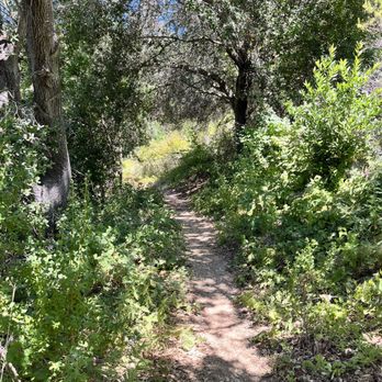 Oursan Trail - Shaded in spots and smells so good - Hiking Near Me - Lafayette, California Oursan Trail - Shaded in spots and smells so good - Hiking Near Me - Lafayette, California