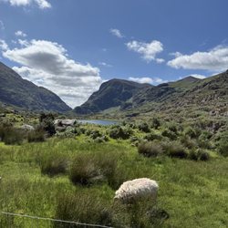 Kerry Experience Tours