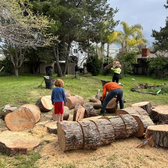 Maya's Landscape & Tree Service - Tree Services Near Me Maya's Landscape & Tree Service - Tree Services Near Me