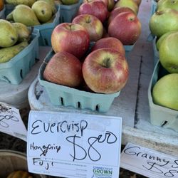 Ellington Farmers Market - Apples