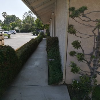 Suelzle Gregory, MD - Pain Management Near Me - Upland, California