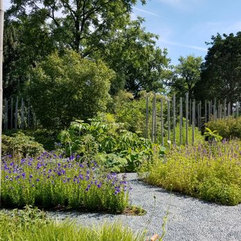Hortus Botanicus Leiden - Botanical Gardens Near Me - Leiden, ZH