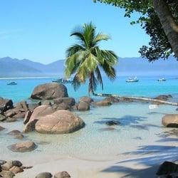 Praia Vermelha - Coqueiro torto: um dos cartões postais da Ilha Grande