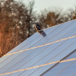 Easy Simple Solar