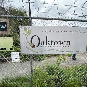Oaktown Native Plant Nursery - Outside - Nurseries & Gardening Near Me - Berkeley, California Oaktown Native Plant Nursery - Outside - Nurseries & Gardening Near Me - Berkeley, California