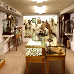 Akin Free Library - Olive Gunnison Natural History Museum, lower level