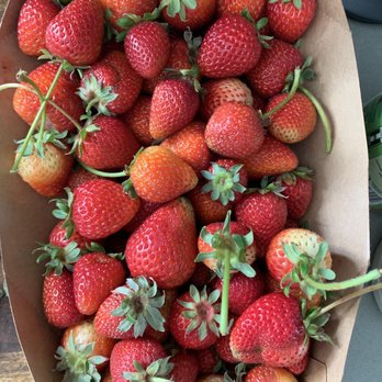 Blue House Farm - Farmers Market Near Me - San Gregorio, California